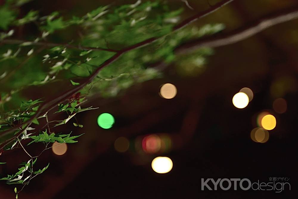 京の七夕　北野天満宮（１２）