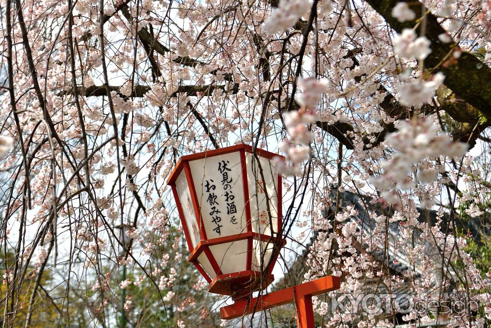 長建寺　（2022年3月24日）scene3