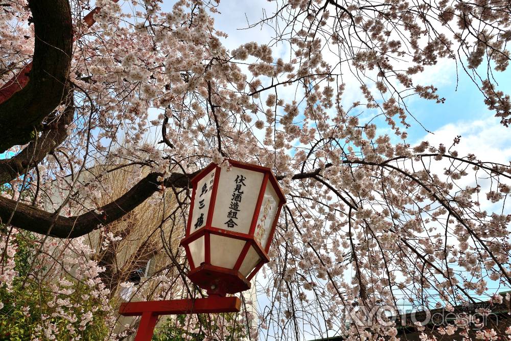 長建寺　（2022年3月24日）scene10