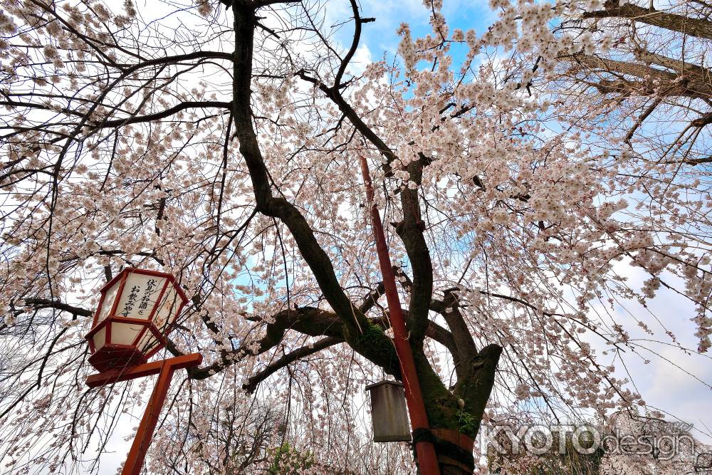 長建寺　（2022年3月24日）scene12