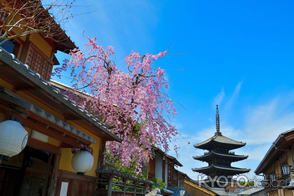 八坂の塔と枝垂れ桜　（2022年3月28日）　Scene２