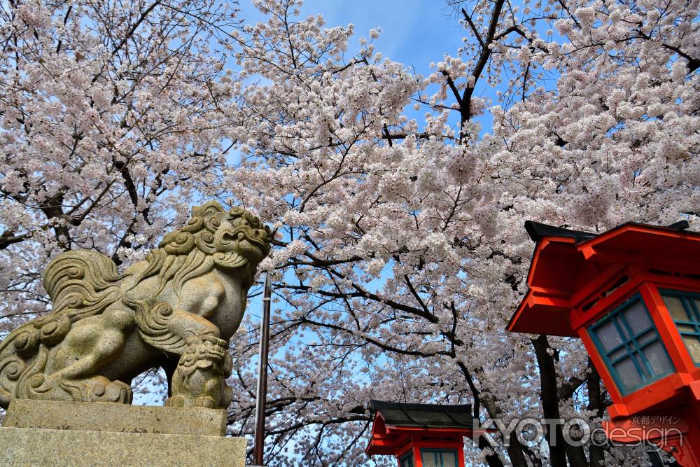 六孫王神社（2022年4月2日）Scene14