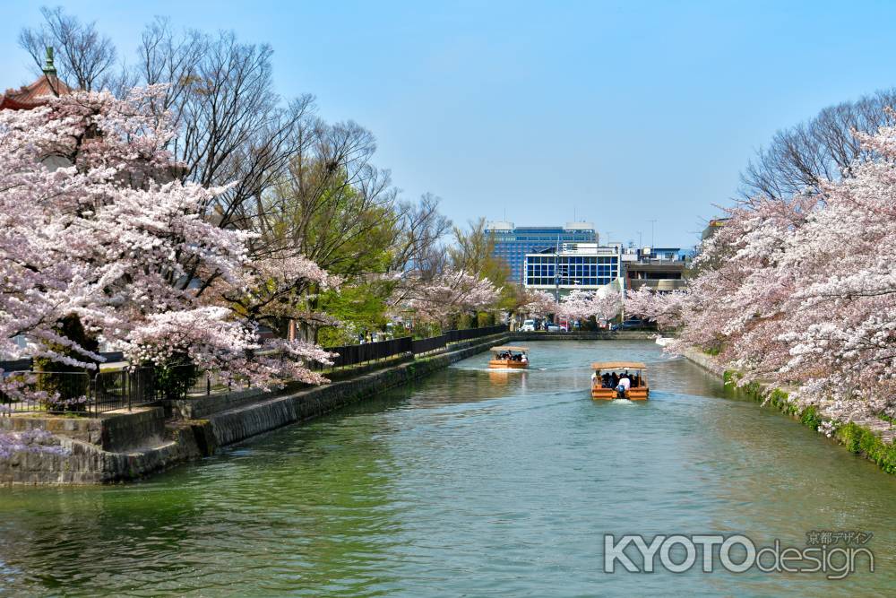 岡崎疎水（2022年4月7日）Scene2