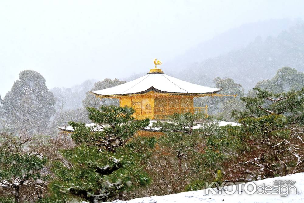 雪の金閣寺　scene6