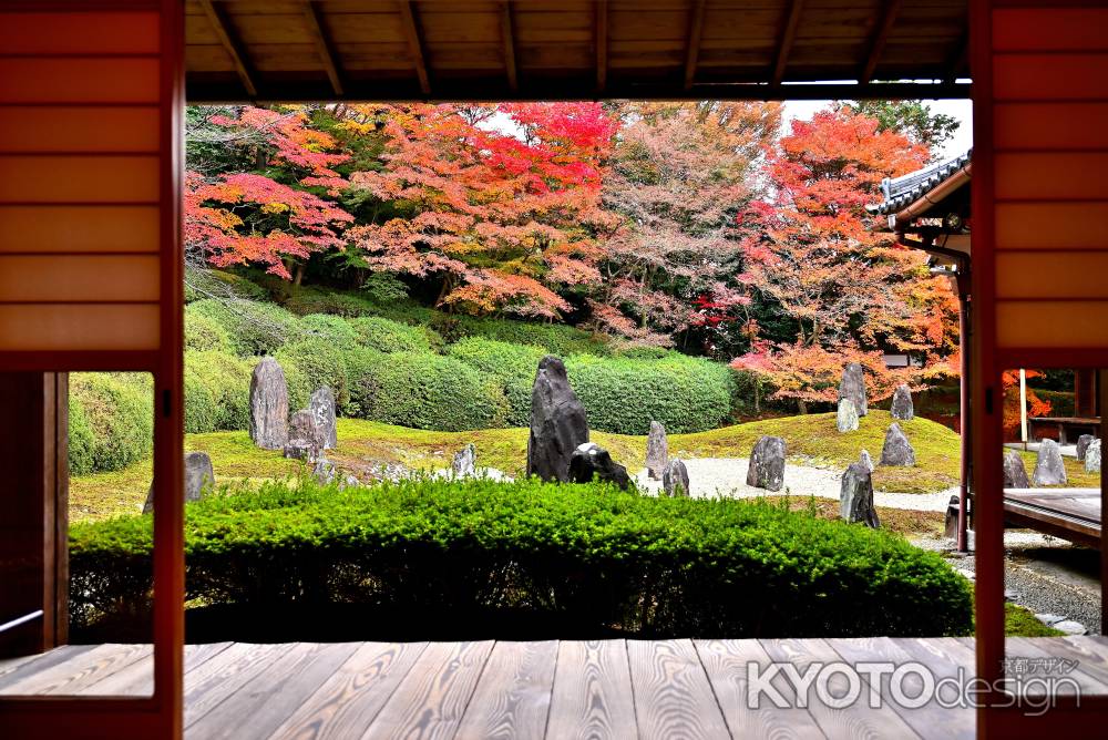 東福寺塔頭光明院　紅葉風景　scene1