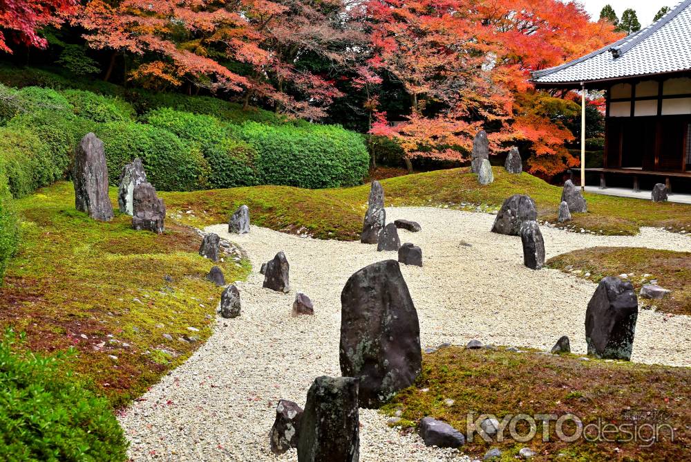 東福寺塔頭光明院　紅葉風景　scene3