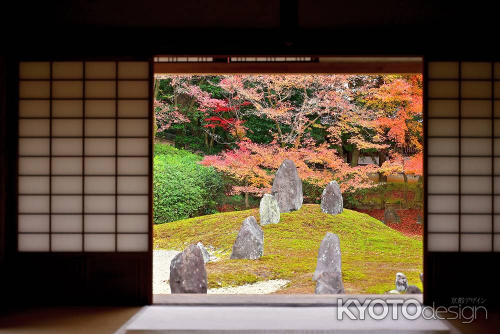 東福寺塔頭光明院　紅葉風景　scene5