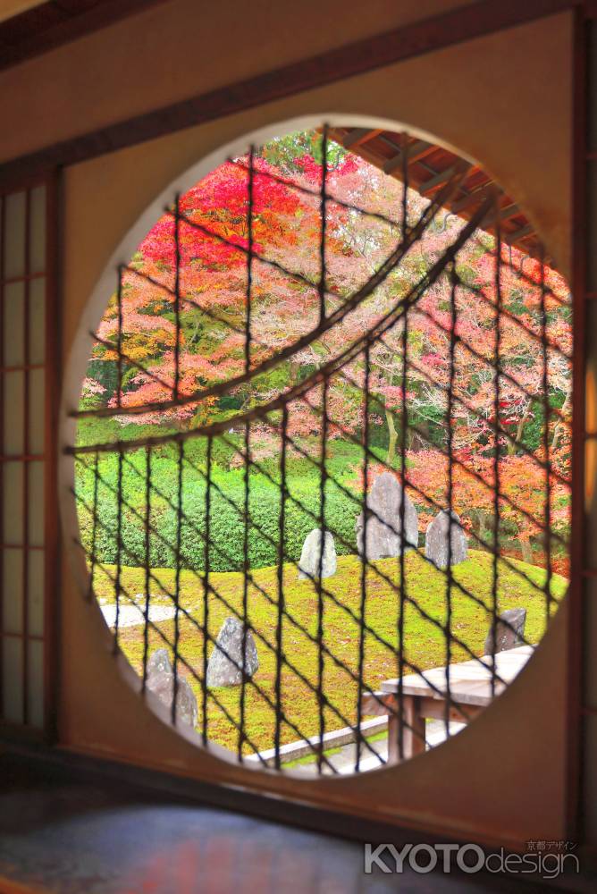 東福寺塔頭光明院　紅葉風景　scene6