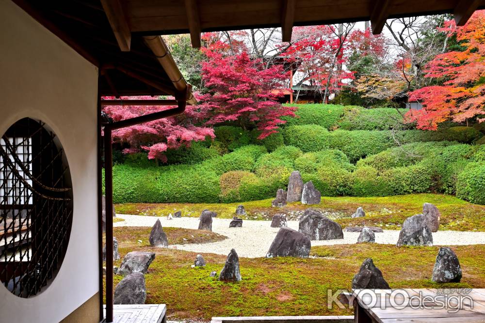 東福寺塔頭光明院　紅葉風景　scene7