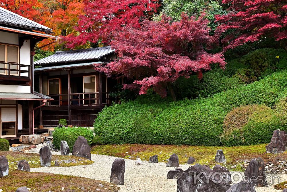 東福寺塔頭光明院　紅葉風景　scene8