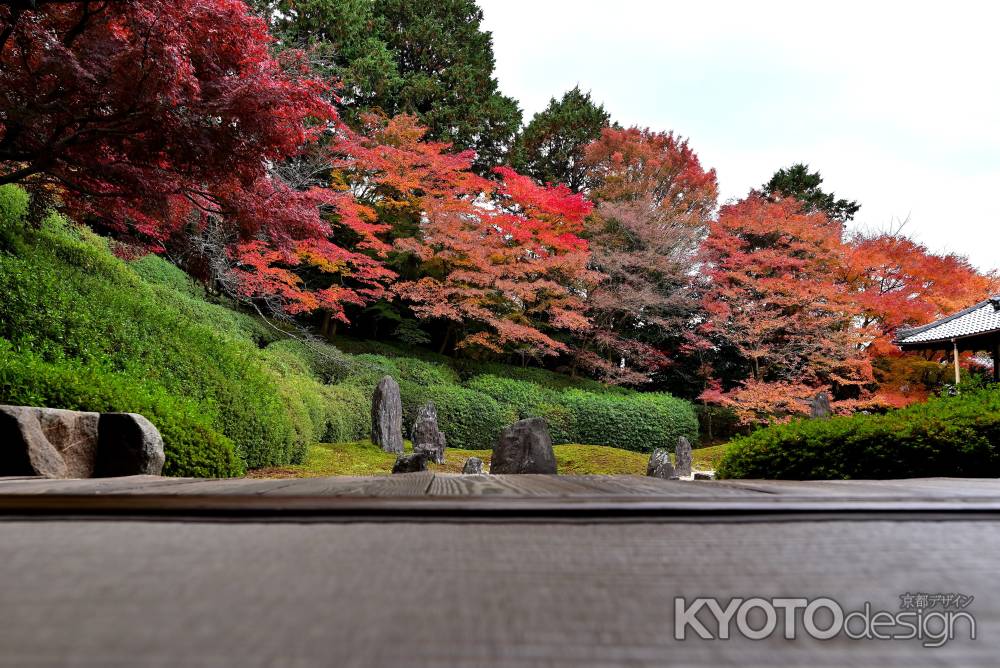 東福寺塔頭光明院　紅葉風景　scene10