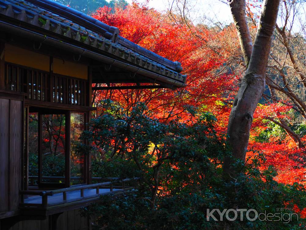 冬、燃える赤ー瑠璃光院