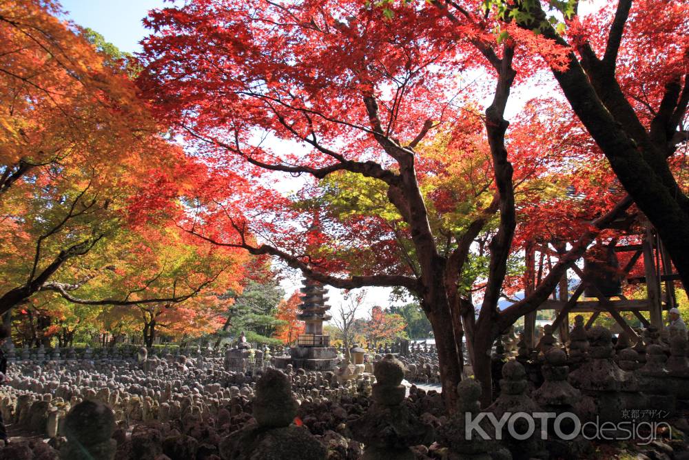 化野念仏寺　秋色