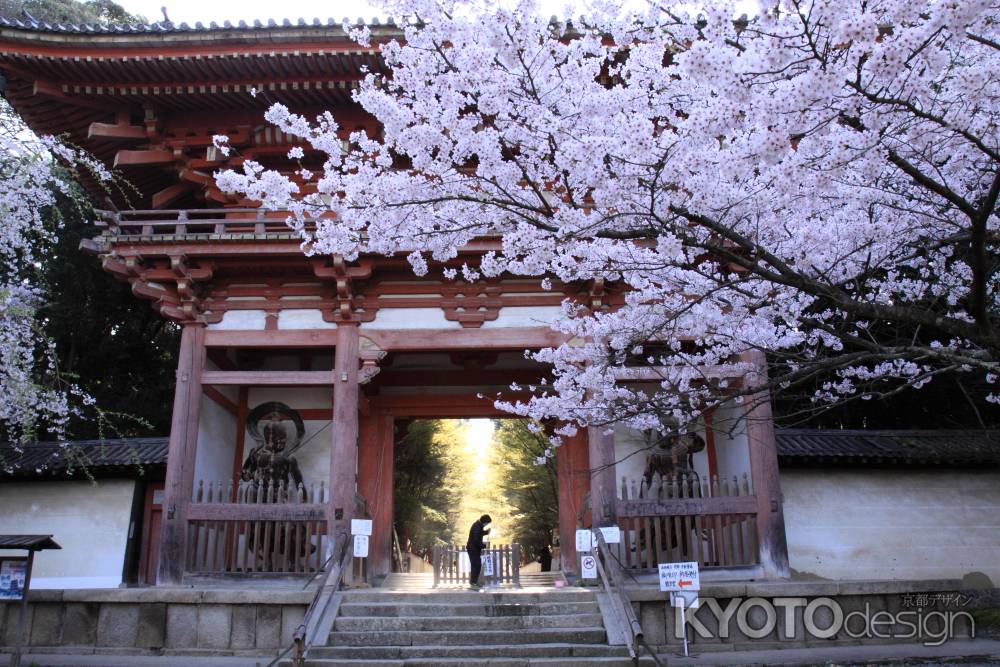 醍醐寺