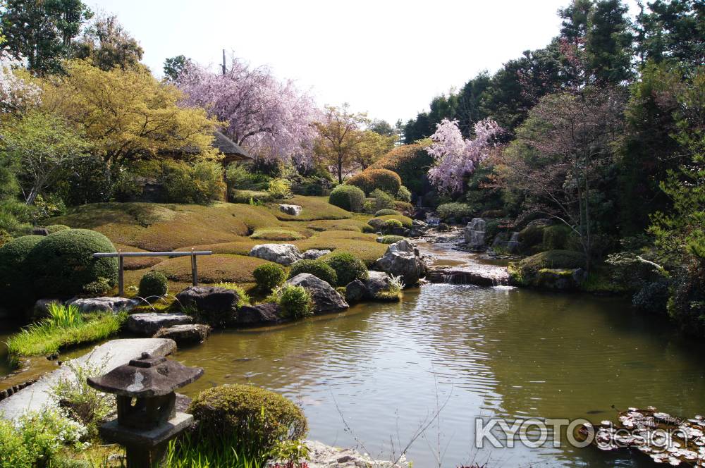 春色の退蔵院