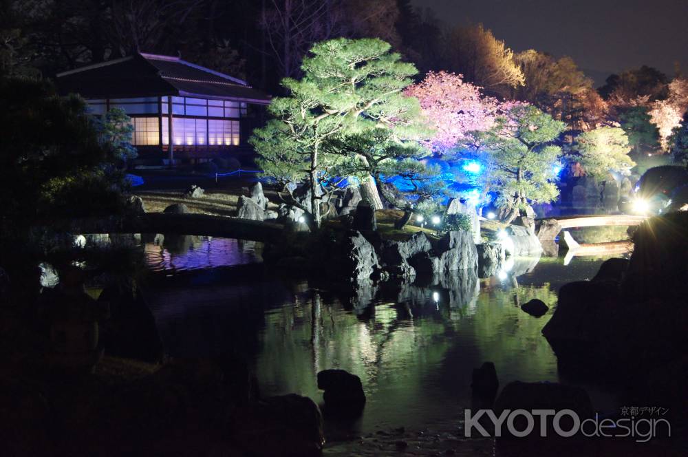 幽玄に照らされる清流園