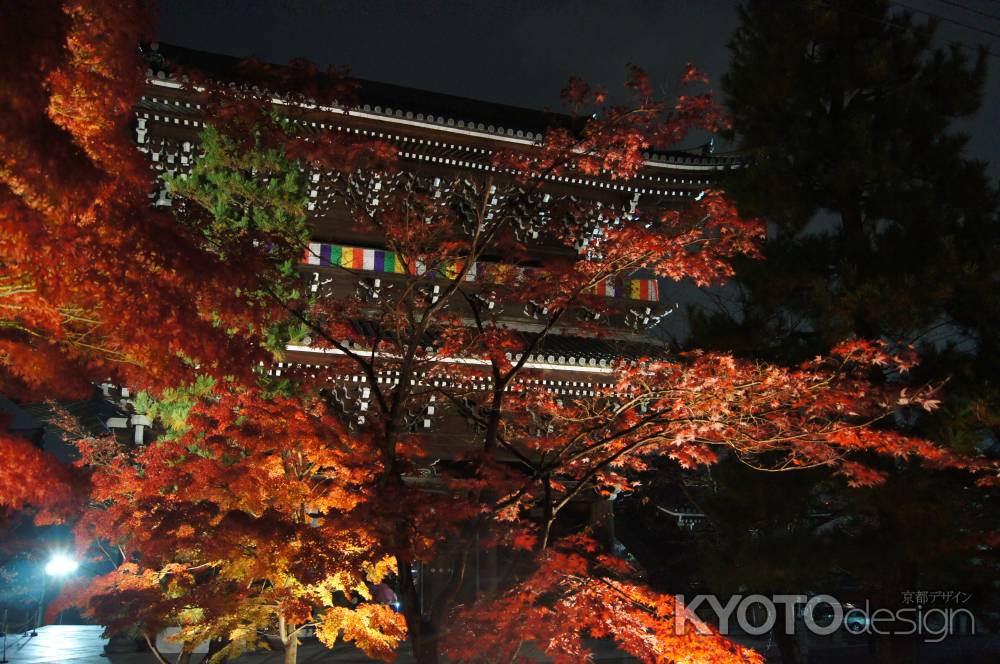 夜の金戒光明寺_1