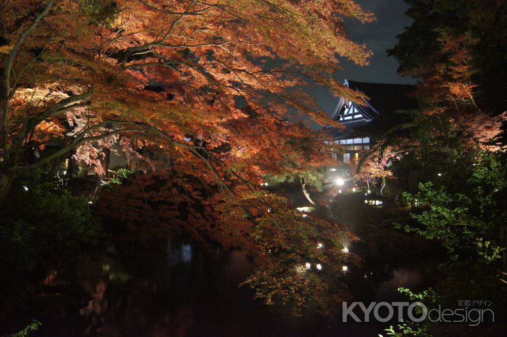 夜の金戒光明寺_2