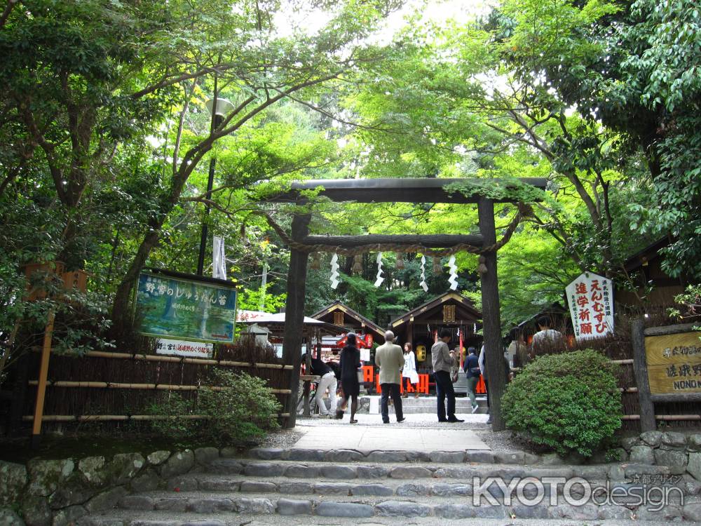 参拝客で賑わう野宮神社