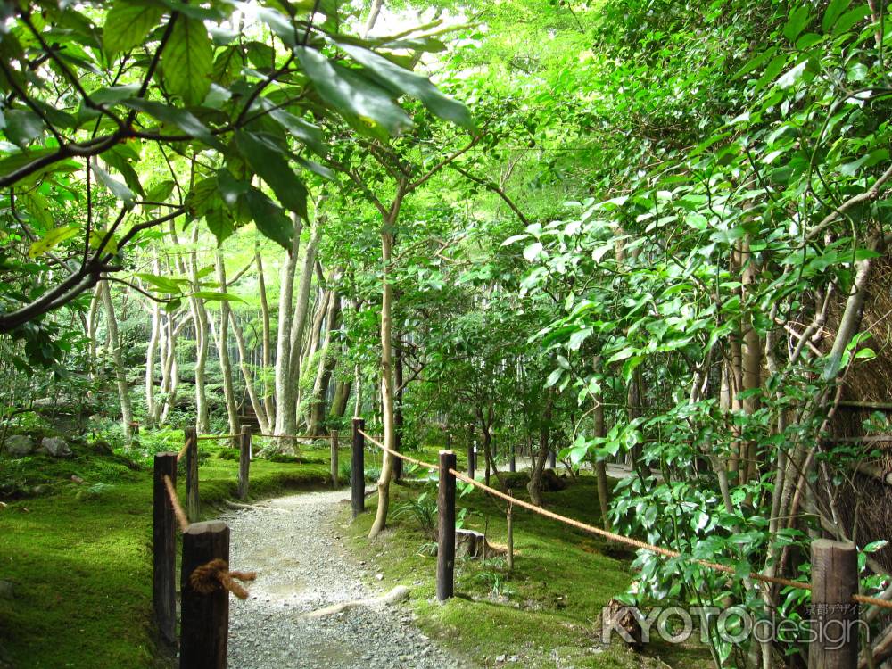 祇王寺庭園を通る小道