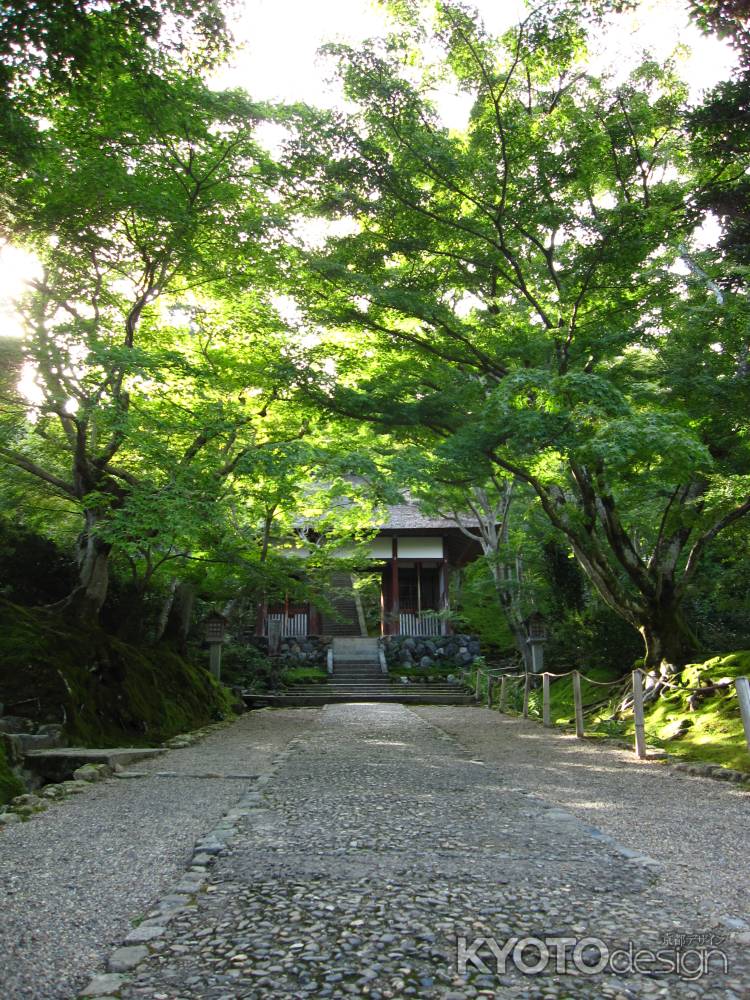 常寂光寺仁王門へ続く参道