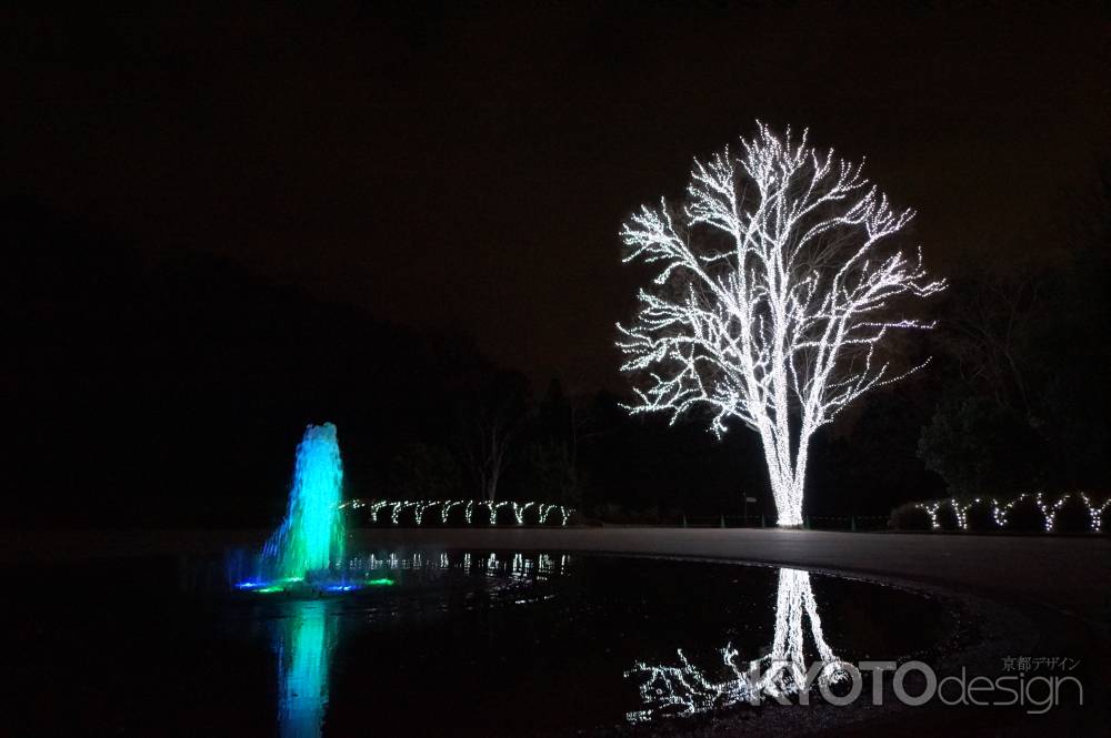 冬の陣　植物園