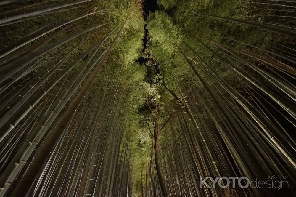 京竹