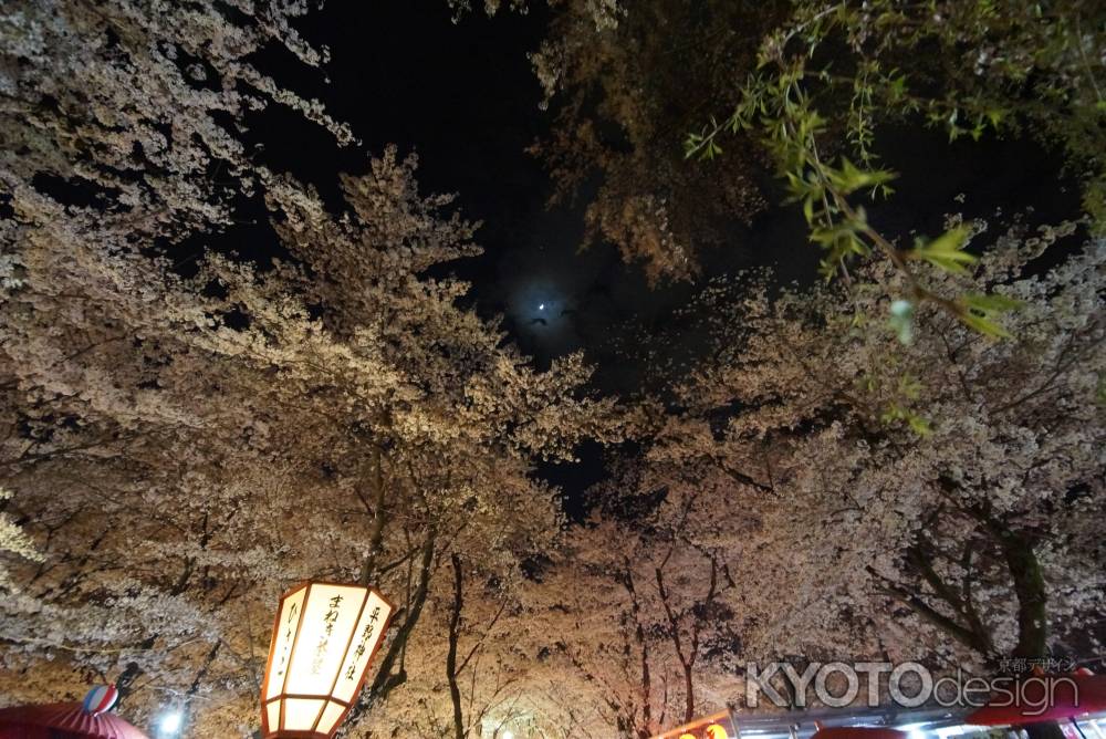 月と桜 平野神社