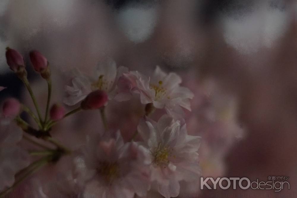 京都平野神社