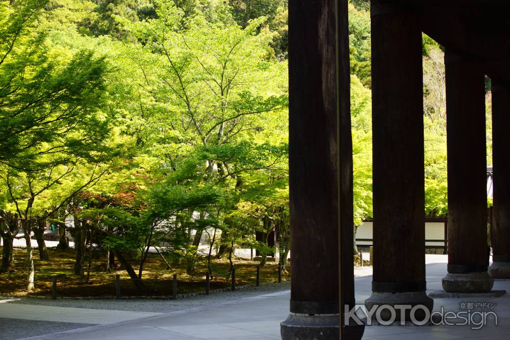 春の南禅寺