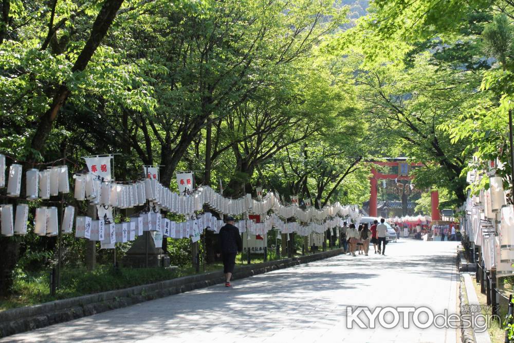 松尾大社 初夏の日差し