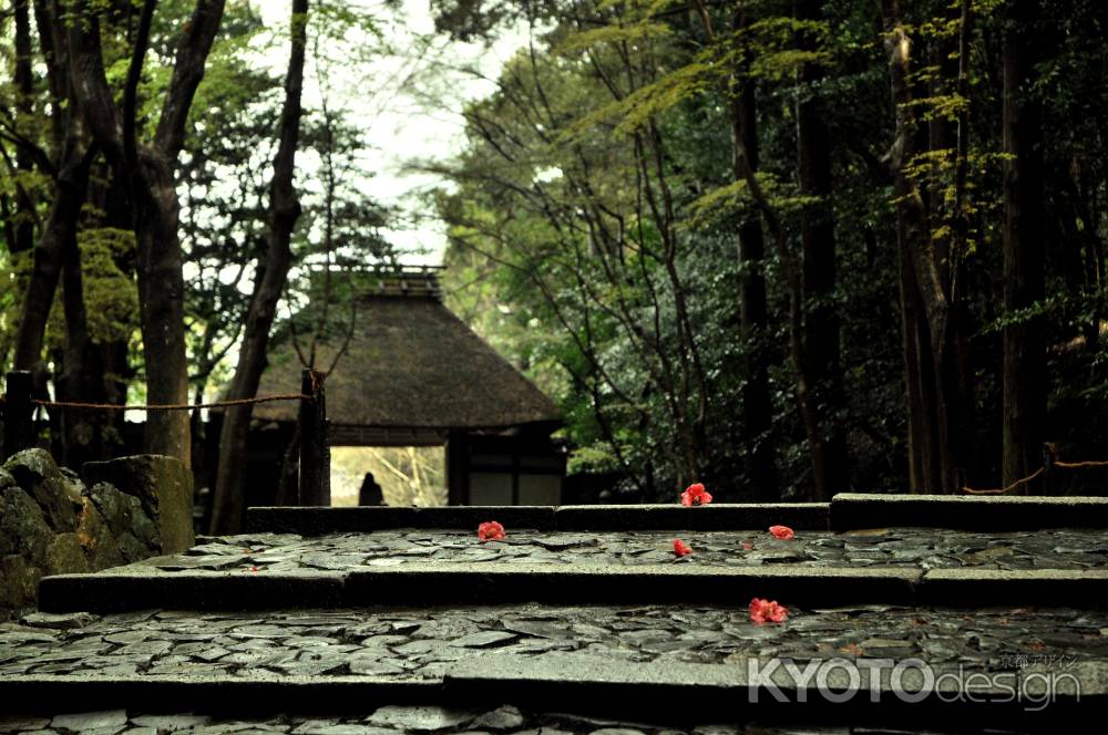 椿の寺