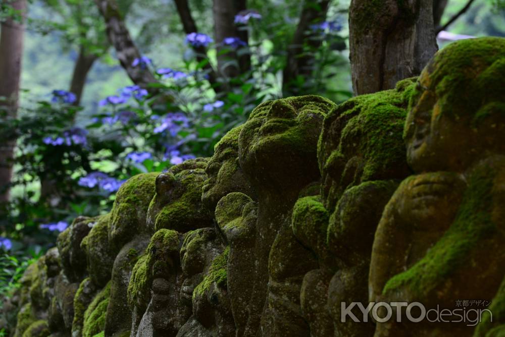 羅漢の花見