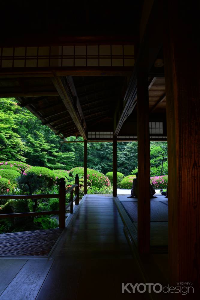 初夏の深色