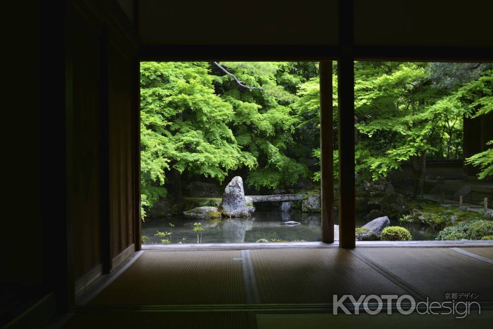 碧のもみじ　洛北蓮華寺