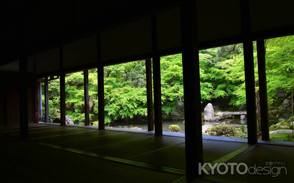 洛北蓮華寺　青もみじ　初夏