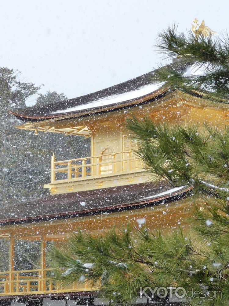 雪の金閣寺　2014.01 -5