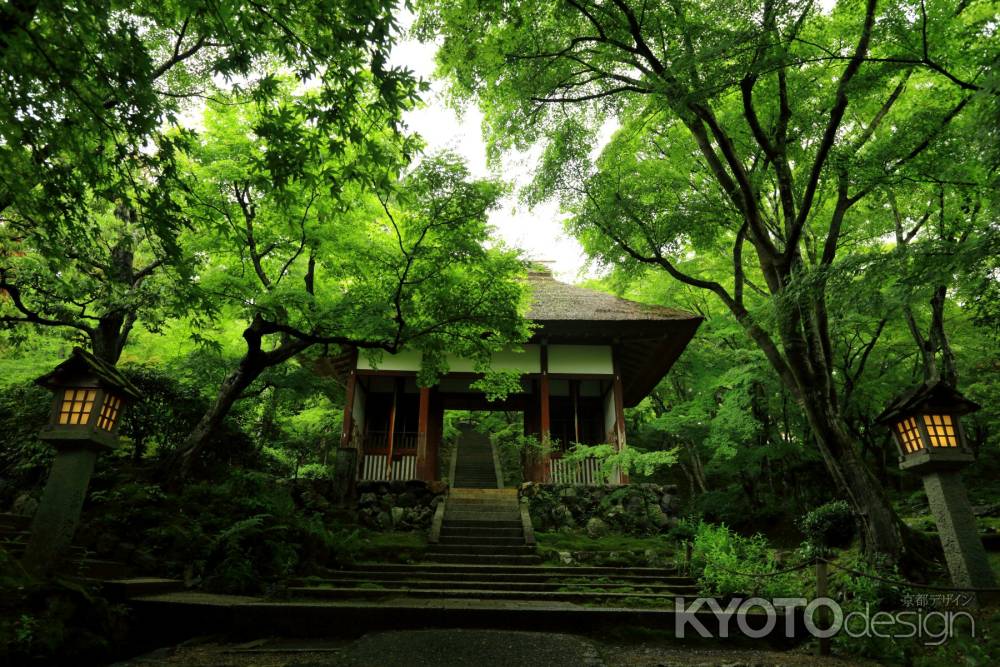 常寂光寺　仁王門