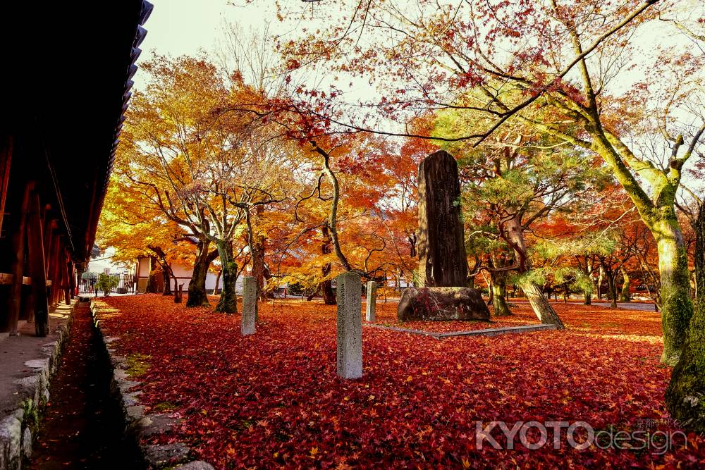 紅葉散歩：東福寺2