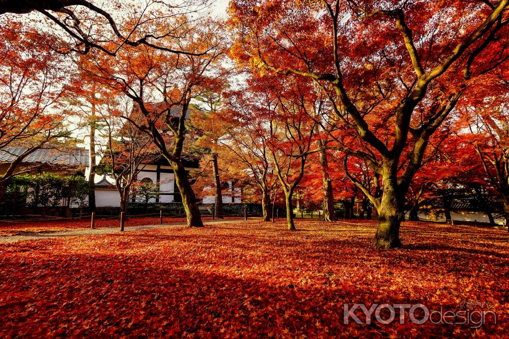 紅葉散歩：東福寺4