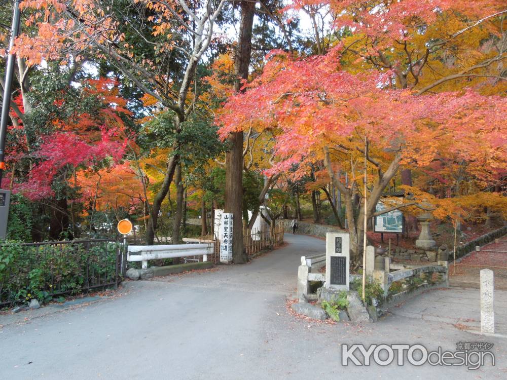 毘沙門堂の紅葉　極楽橋