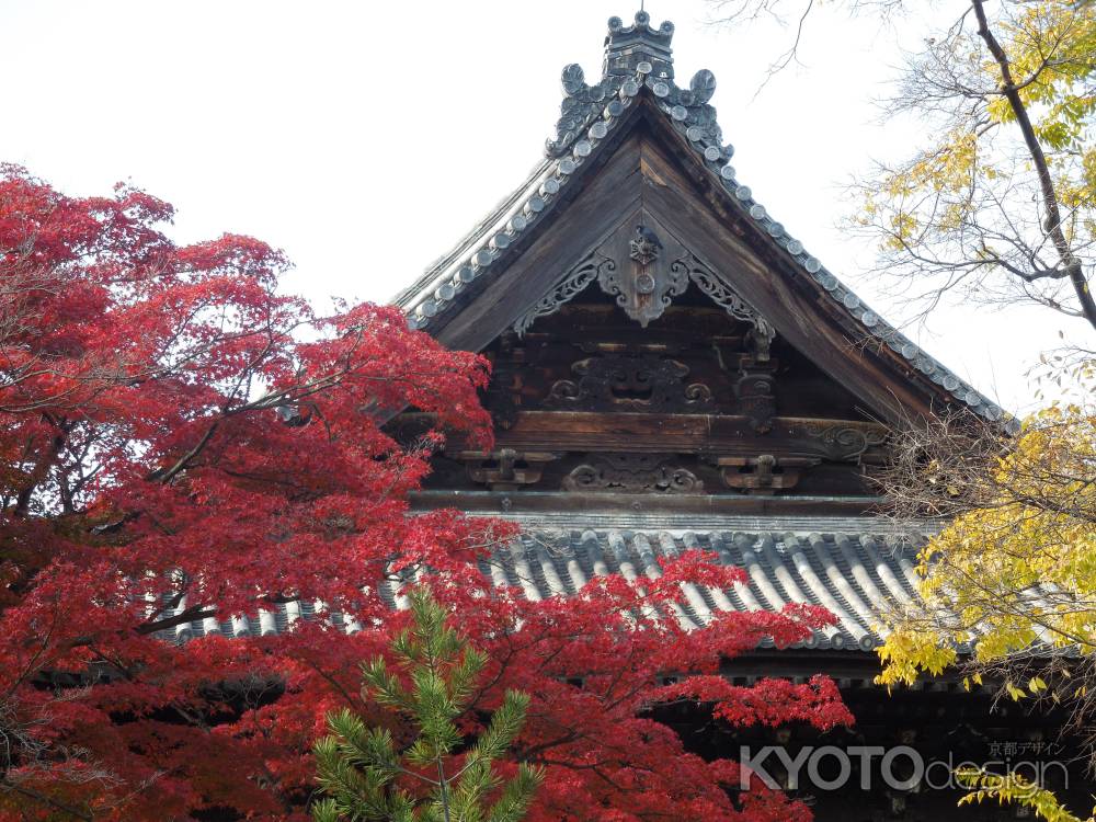 屋根と紅葉