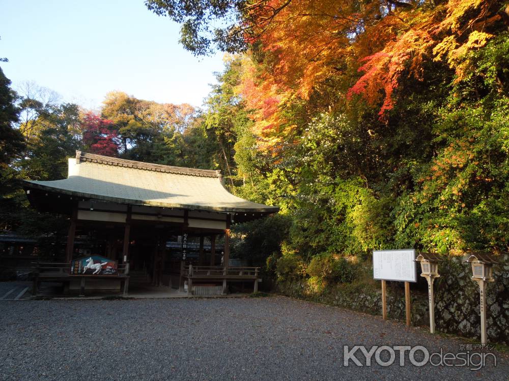 諸羽神社　境内1