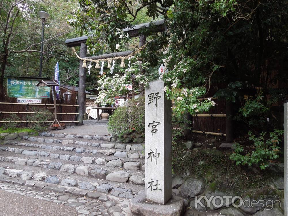 野宮神社参道