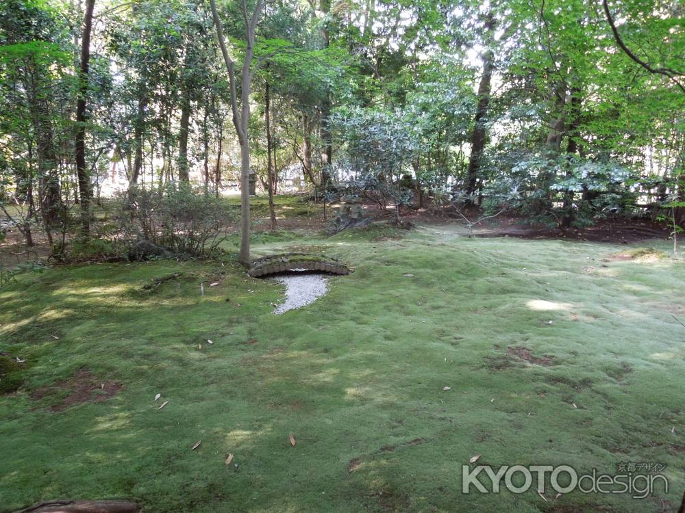 野宮神社苔の庭その2