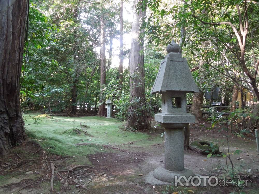 野宮神社苔の庭その3