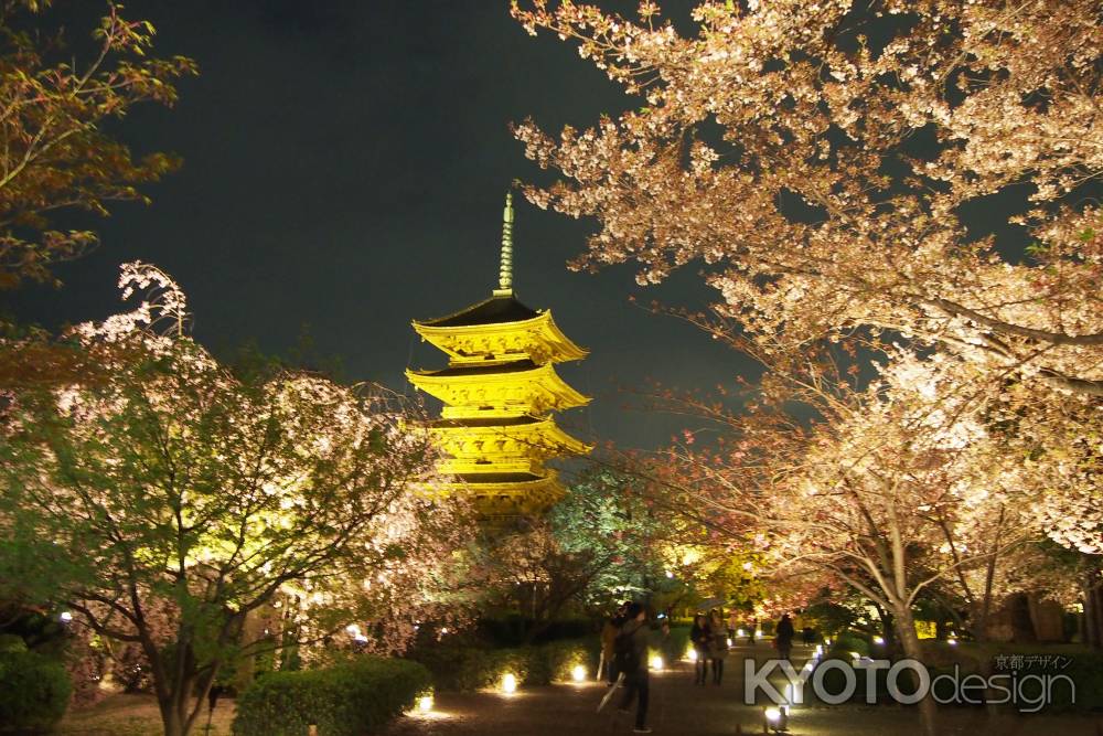 2013東寺のsakura夜間拝観にて