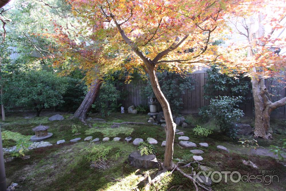 霊源院 紅葉と庭石