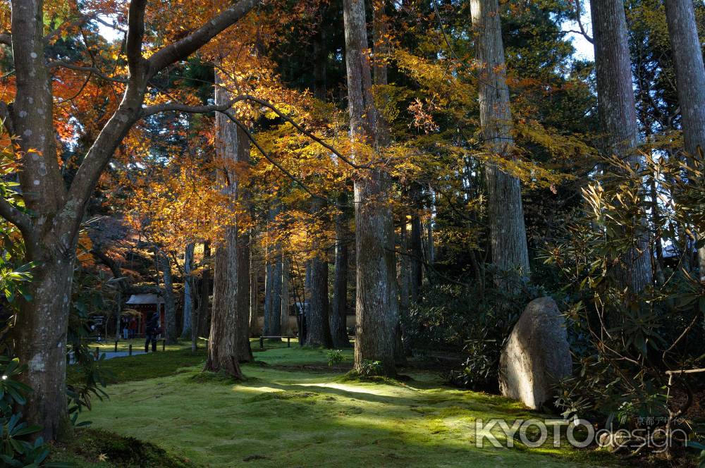 三千院　秋