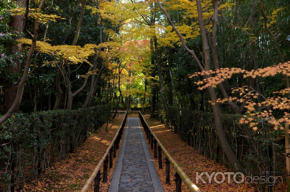 高桐院　秋